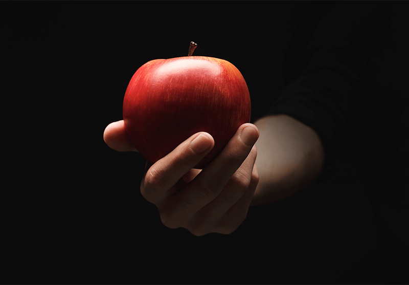 Cidre de Loire variétés de pommes