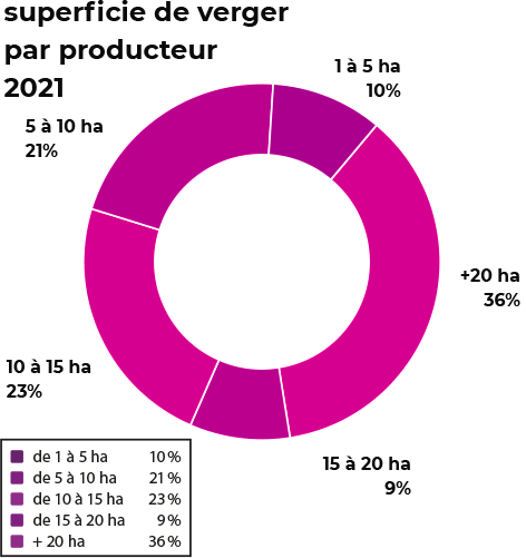 superficie des vergers 2021